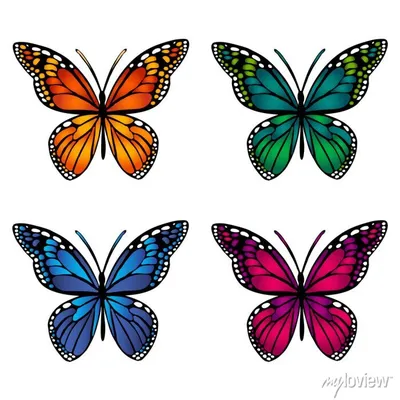 Фото на белом фоне: изображение бабочек в формате PNG
