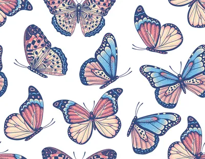 Бабочки на белом фоне: фотография в формате PNG