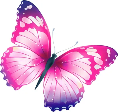 Фото с бабочками: изображение в формате WebP