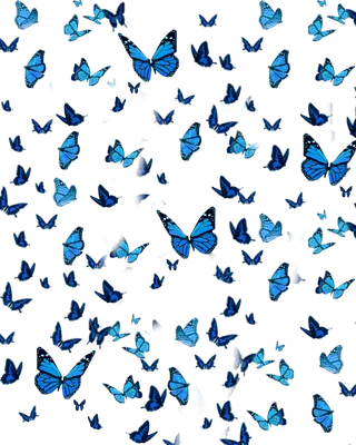 Бабочки на белом фоне: картинка в формате JPG