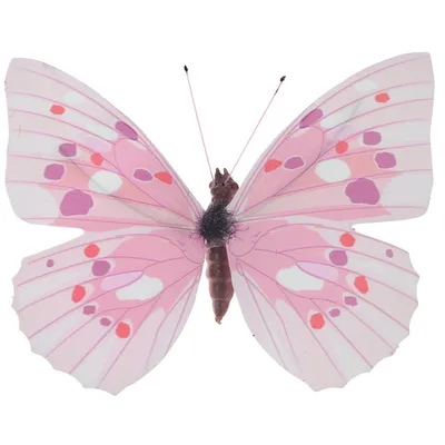 Бабочки на белом фоне, размером 1920x1080, доступны для скачивания в формате PNG