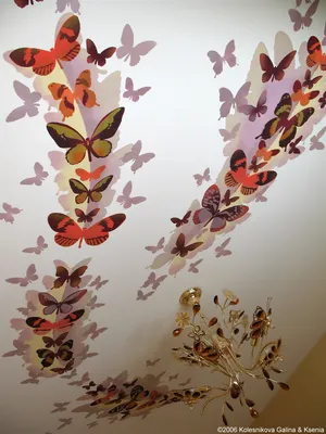 Бабочки на потолке  фото