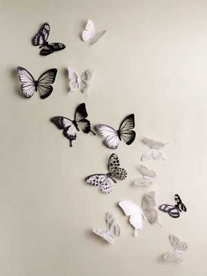 Удивительные бабочки в формате JPG