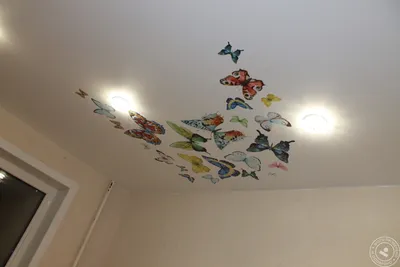 Мечтательные бабочки на потолке