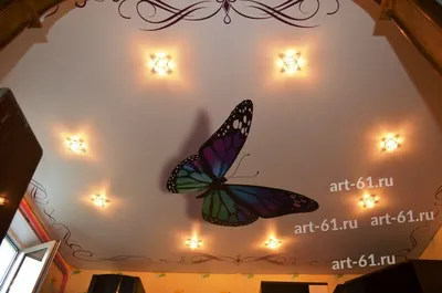 Пленяющие бабочки на потолке