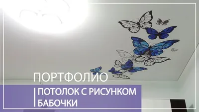 Фантастические изображения бабочек на потолке