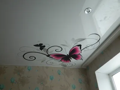 Интересные фото с бабочками