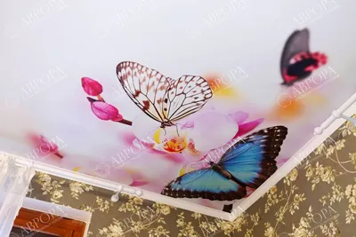 Бабочки на потолке в высоком качестве
