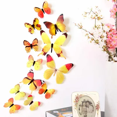 Фотографии с изысканными бабочками