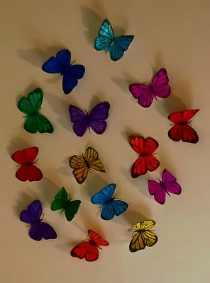 Фото бабочек на потолке в формате WebP
