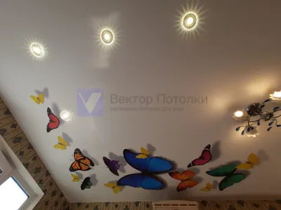 Фото бабочек на потолке - в мире эстетики