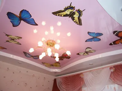 Привлекательные бабочки на потолке