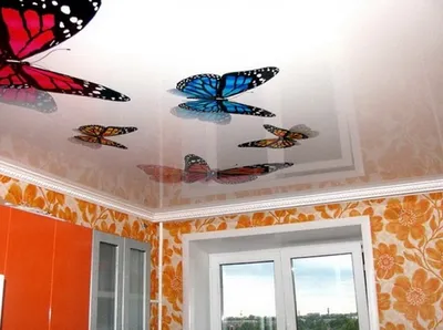 Загадочные фотографии бабочек на потолке