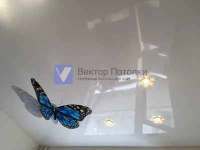 Магические бабочки на потолке