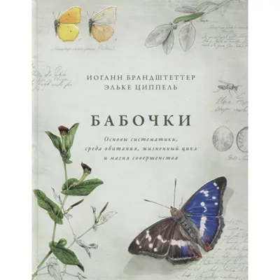 Фотографии бабочек на русском: восхитительные кадры
