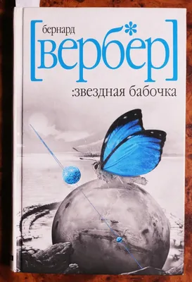 Фото бабочек на русском: красивые краски природы