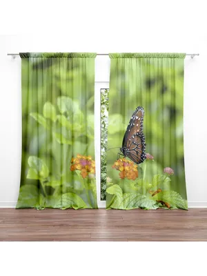 Фотография бабочек на шторы: украшение вашего интерьера