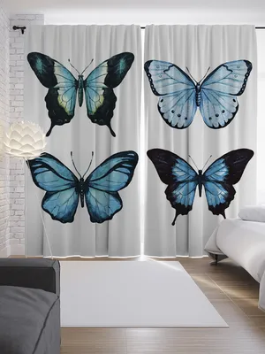 Фото бабочек на шторы: выбор изображений со вкусом
