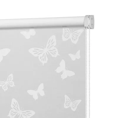 Фото-коллекция бабочек на шторы: подберите идеальные изображения