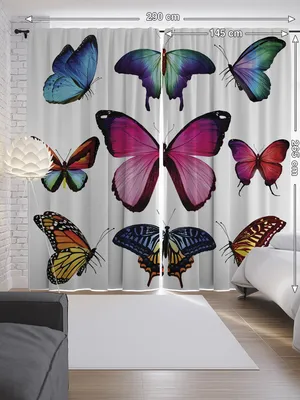 Уникальные фотографии бабочек на шторы: создайте свой неповторимый стиль
