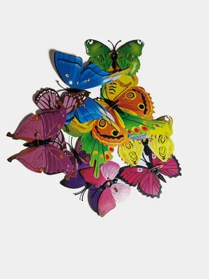 Уникальные фотографии бабочек на шторы: подчеркните свою individuality