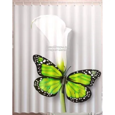 Фотография бабочек на шторы: стильное решение для вашего интерьера
