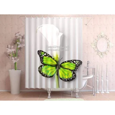 Бабочки на шторы: фото разного размера и формата, готовые к использованию