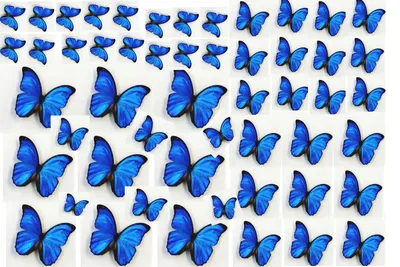 Уникальные бабочки на стену: декоративные элементы, созданные с любовью