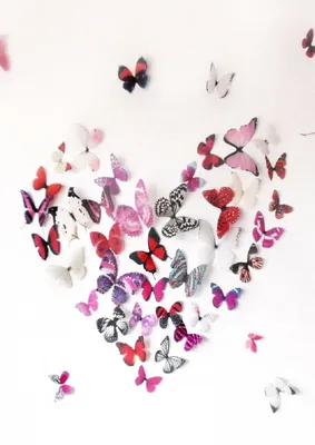 Бабочки на стену: преобразите свою комнаты с помощью этих удивительных изображений