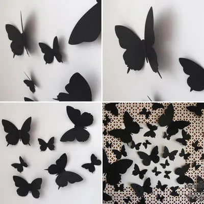 Фото бабочек на стену: варианты оформления, которые вас восхитят