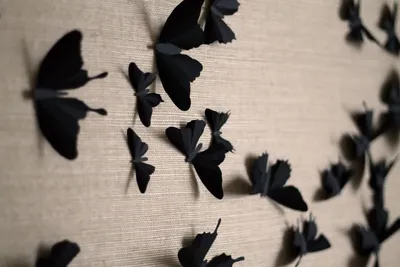 Бабочки на стену: привнесите природу внутрь вашего дома
