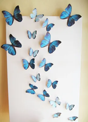 Фото бабочек на стену: великолепное искусство декора