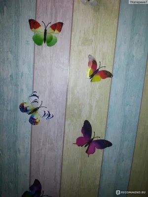 Фото бабочек на стену: воплощение природной красоты внутри ваших стен