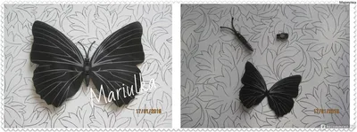 Фотография бабочек на стену: вызывайте восхищение и любовь к природе каждый день