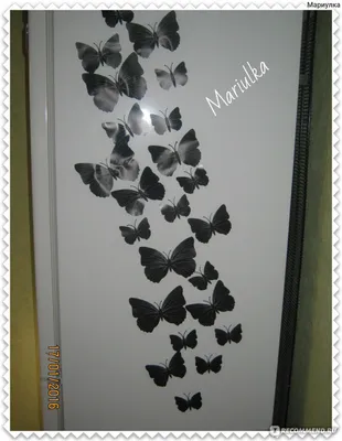 Фото бабочек на стену: великолепные изображения, которые будут радовать вас каждый день
