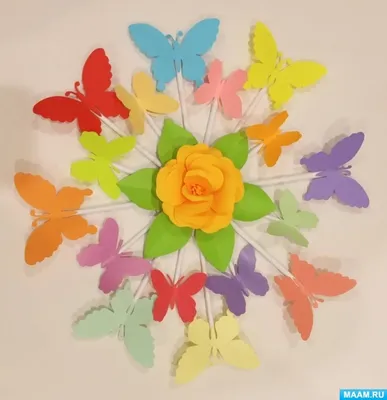 Фотография бабочек на стену: запечатлейте доли секунды красоты и природы