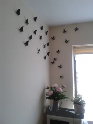 Фото бабочек на стену: добавьте магию в свою жизнь с помощью этих восхитительных изображений