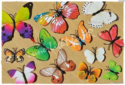 Бабочки на стену: преобразите свое пространство с помощью этих захватывающих декоративных элементов