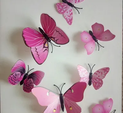 Фотография бабочек на стену: окутайте свой дом атмосферой романтики и загадочности