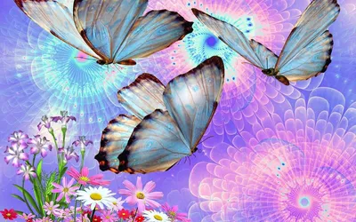 Бабочки во всеоружии: картинка с прекрасными деталями