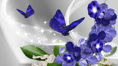 Бабочки на цветах: изображение, которое поднимет настроение