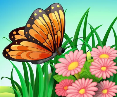 Многообразие бабочек: фотография с широкой цветовой палитрой