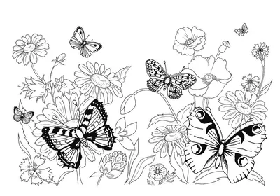 Бабочка - олицетворение красоты природы: изображение, заставляющее задуматься