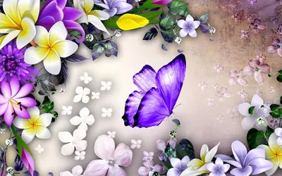 Бабочки на цветах: фотография, показывающая их прекрасные окраски