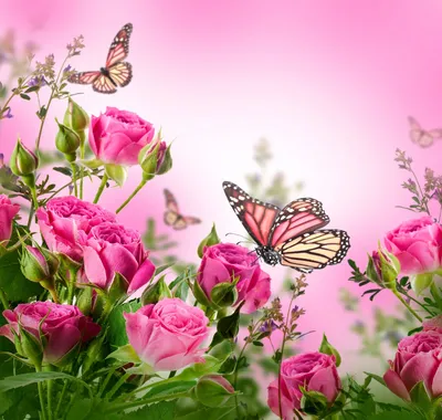 Изысканные бабочки в плену цветов: картинка, олицетворяющая нежность