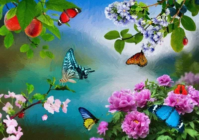 Бабочки, украшающие сад разнообразными цветами: изображение, заставляющее улыбаться
