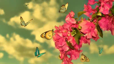 Бабочки на цветах: фотография, которая затмит все вокруг