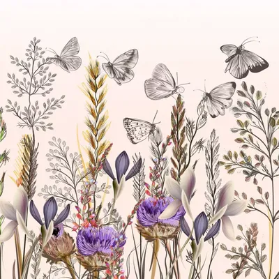 Фото бабочек с хрупкими крыльями в мире цветов