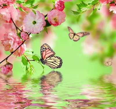 Бабочки на тонких стеблях цветов: фотография, раскрывающая изящество