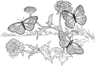 Бабочки, окутанные атмосферой цветов: картинка, погружающая в сказочный мир